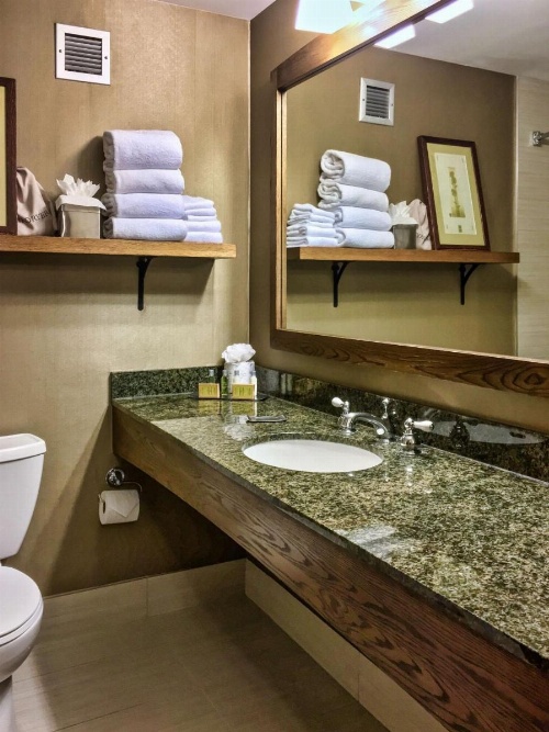 DoubleTree By Hilton Libertyville Mundelein image 17